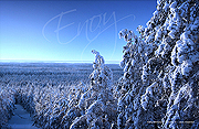 Säkylänharju, Säkylä