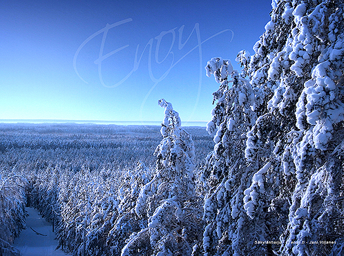 Säkylänharju, Säkylä