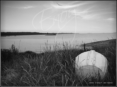 Vene, Hanko